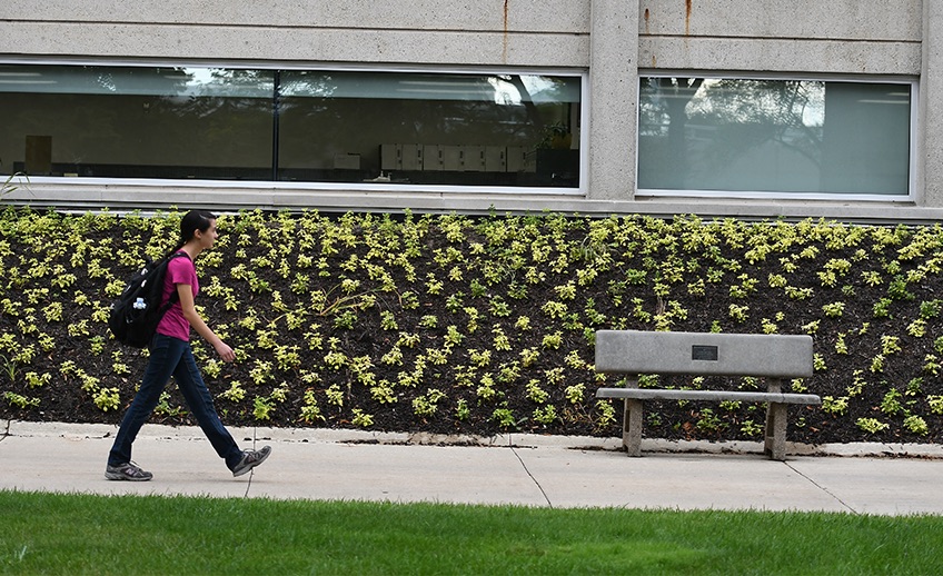 student walking on campus