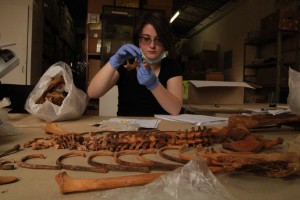 One of the anthropology students works at placing teeth back into the mandible (lower jaw) of the remains she is working with.
