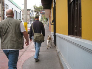 Our unexpected escort trots ahead with Mr. Skufis and one of the radiography students as we head back to the hostal.