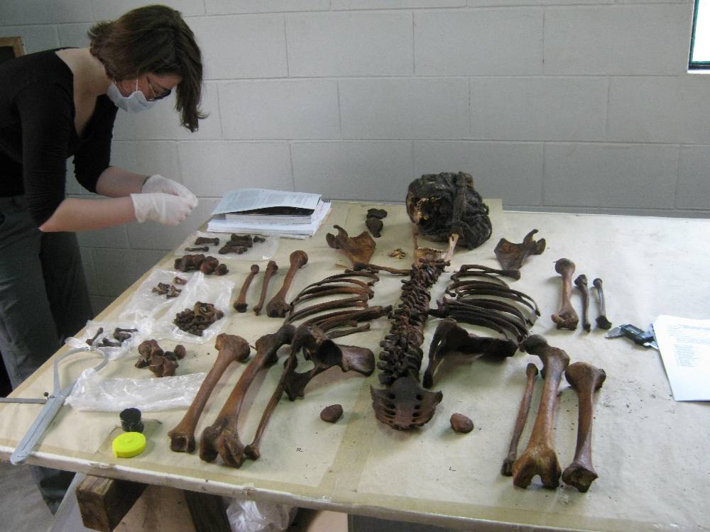 One of the anthropology students  studies a bone during the process of setting the remains in Standard Anatomic Position (SAP).
