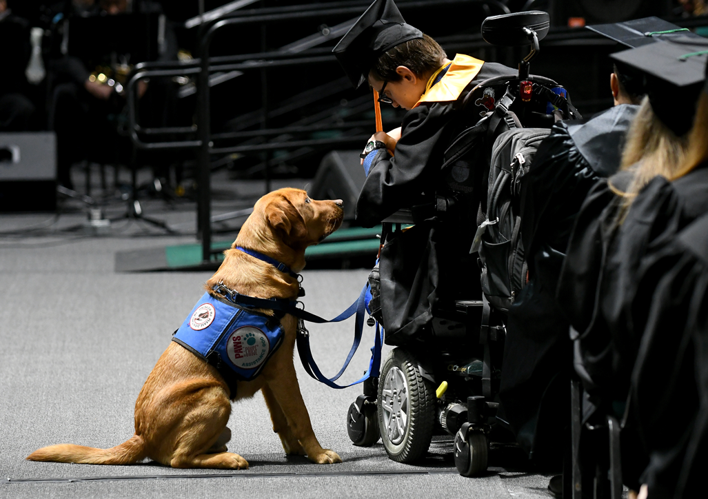 student and support dog at convocation